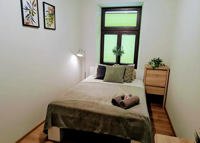 Apartament Oliwkowy Swietoduska 12